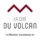 Réunion des Musées Régionaux - La cité des Volcans