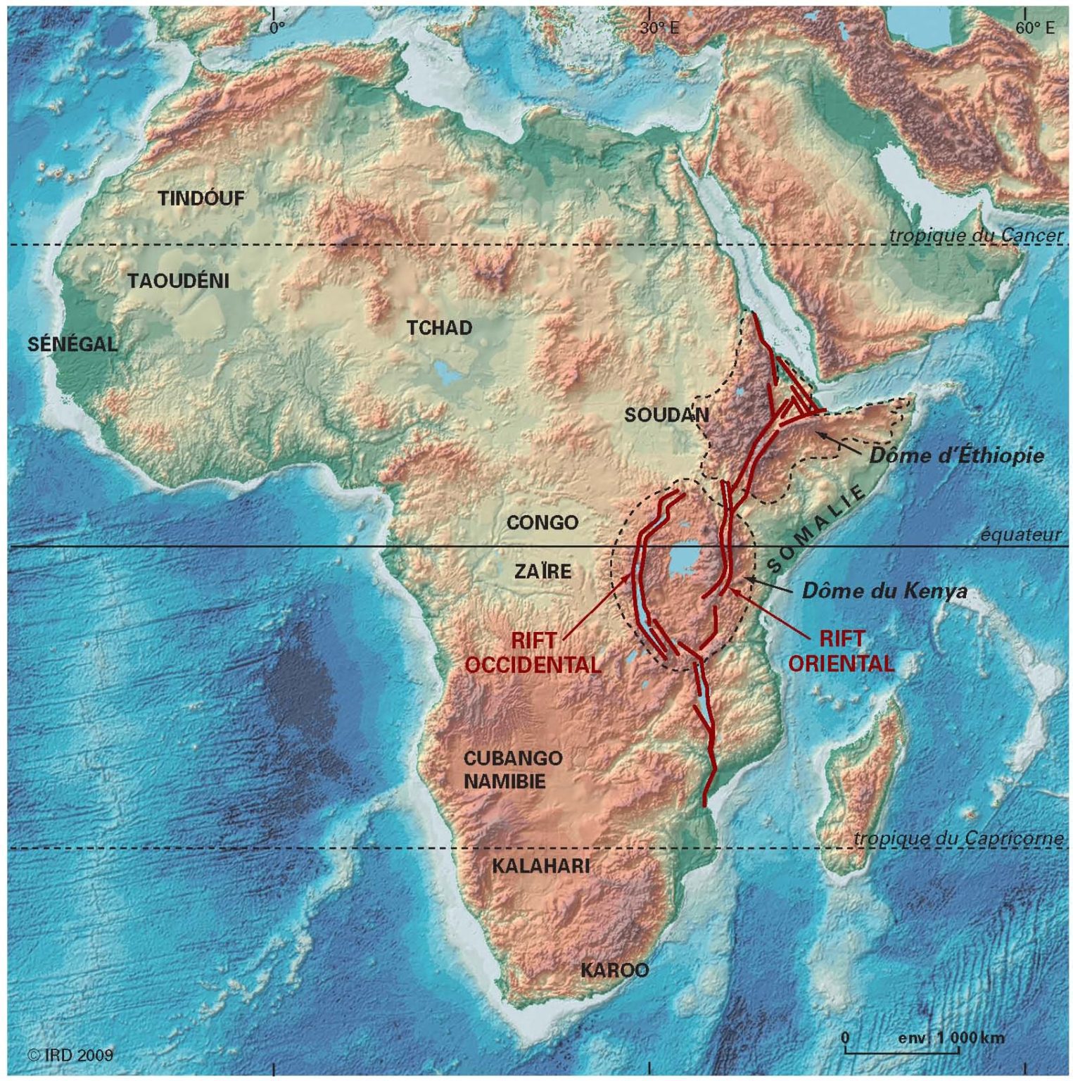 THE EAST AFRICAN RIFT AND HIS LITHOSPHERIC-SCALE TEAR